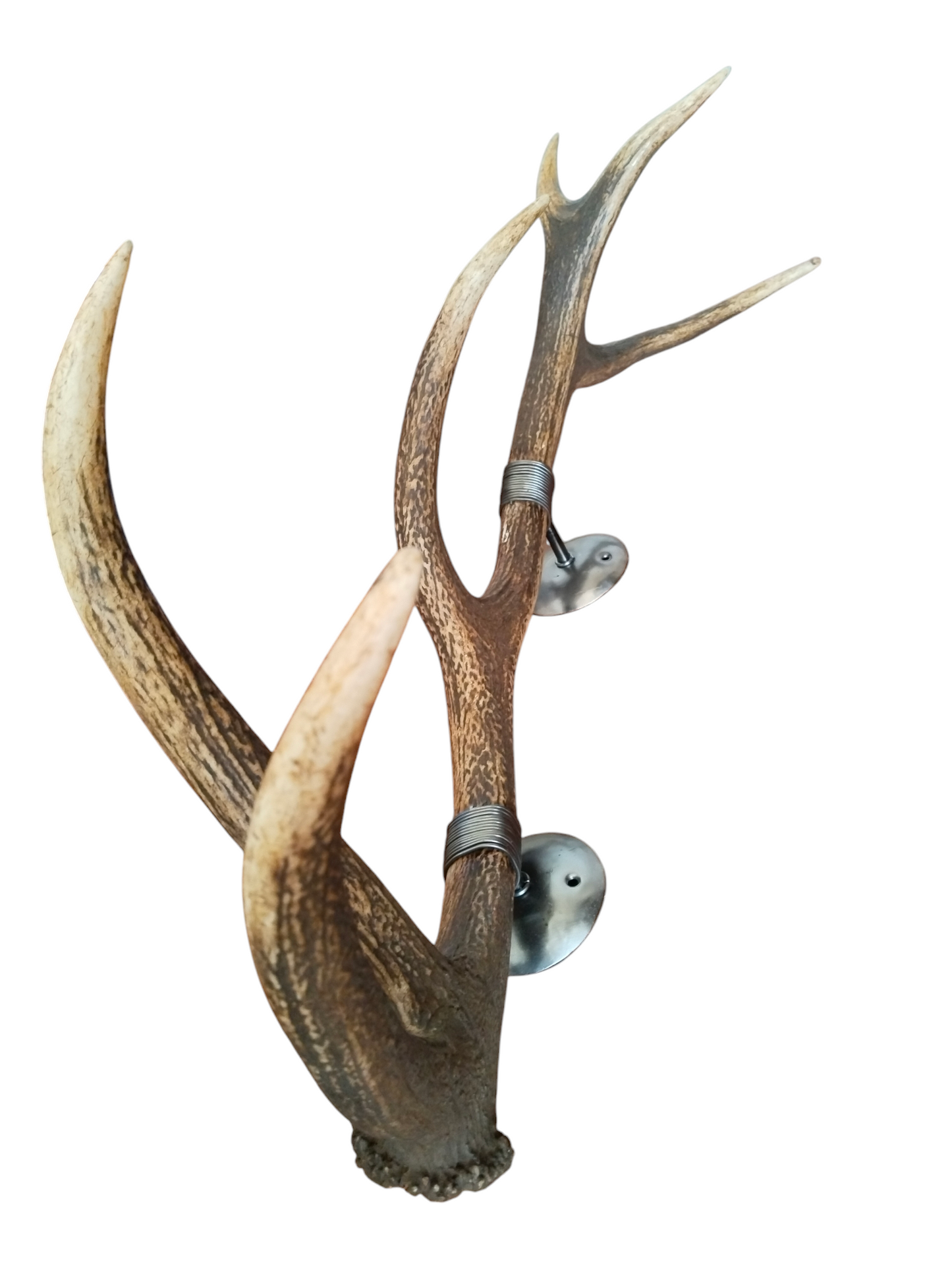 Perchero con Alambrado de Asta de Ciervo 81 cm.