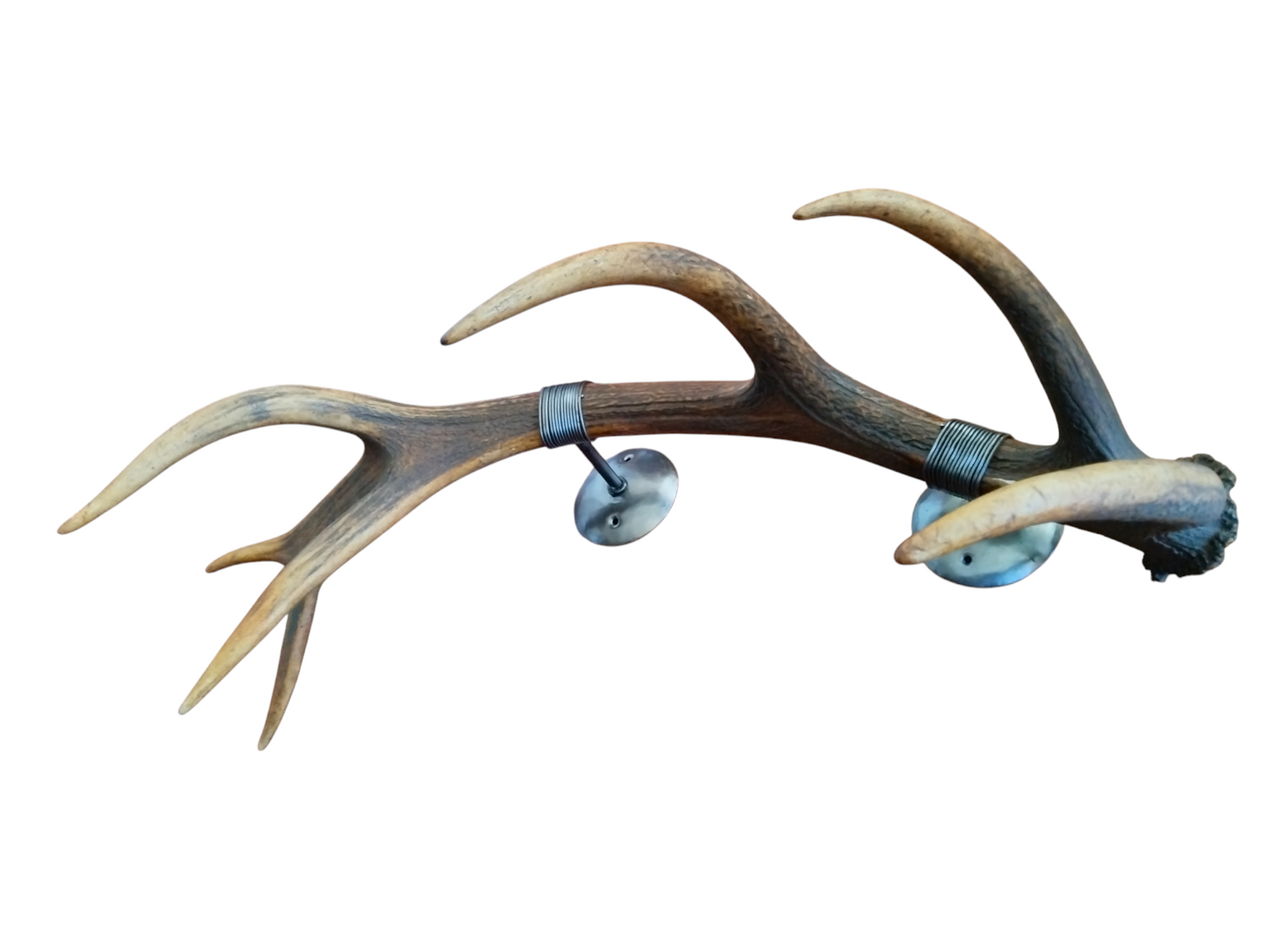 Perchero con Alambrado de Asta de Ciervo 73 cm.