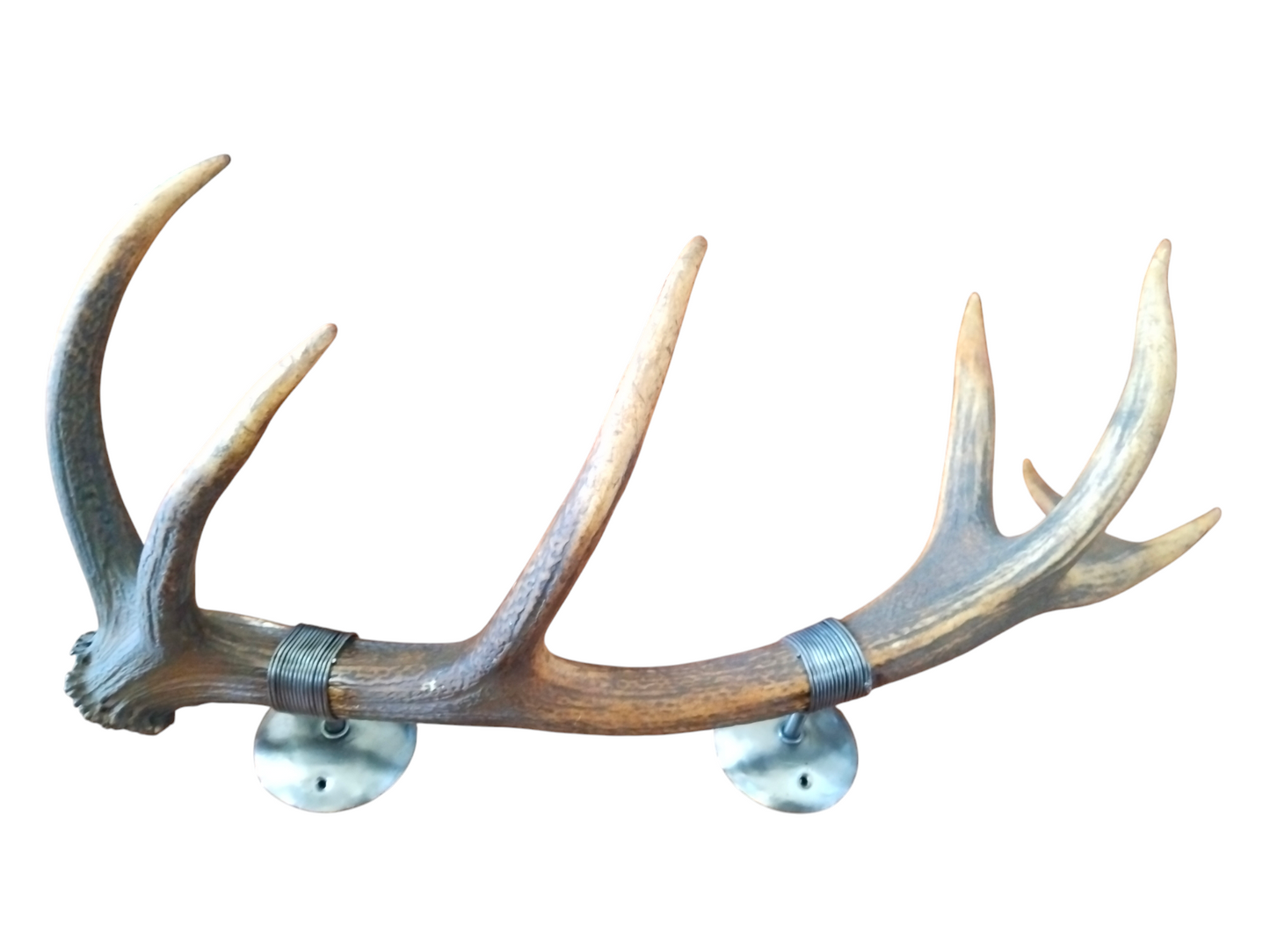 Perchero con Alambrado de Asta de Ciervo 73 cm.