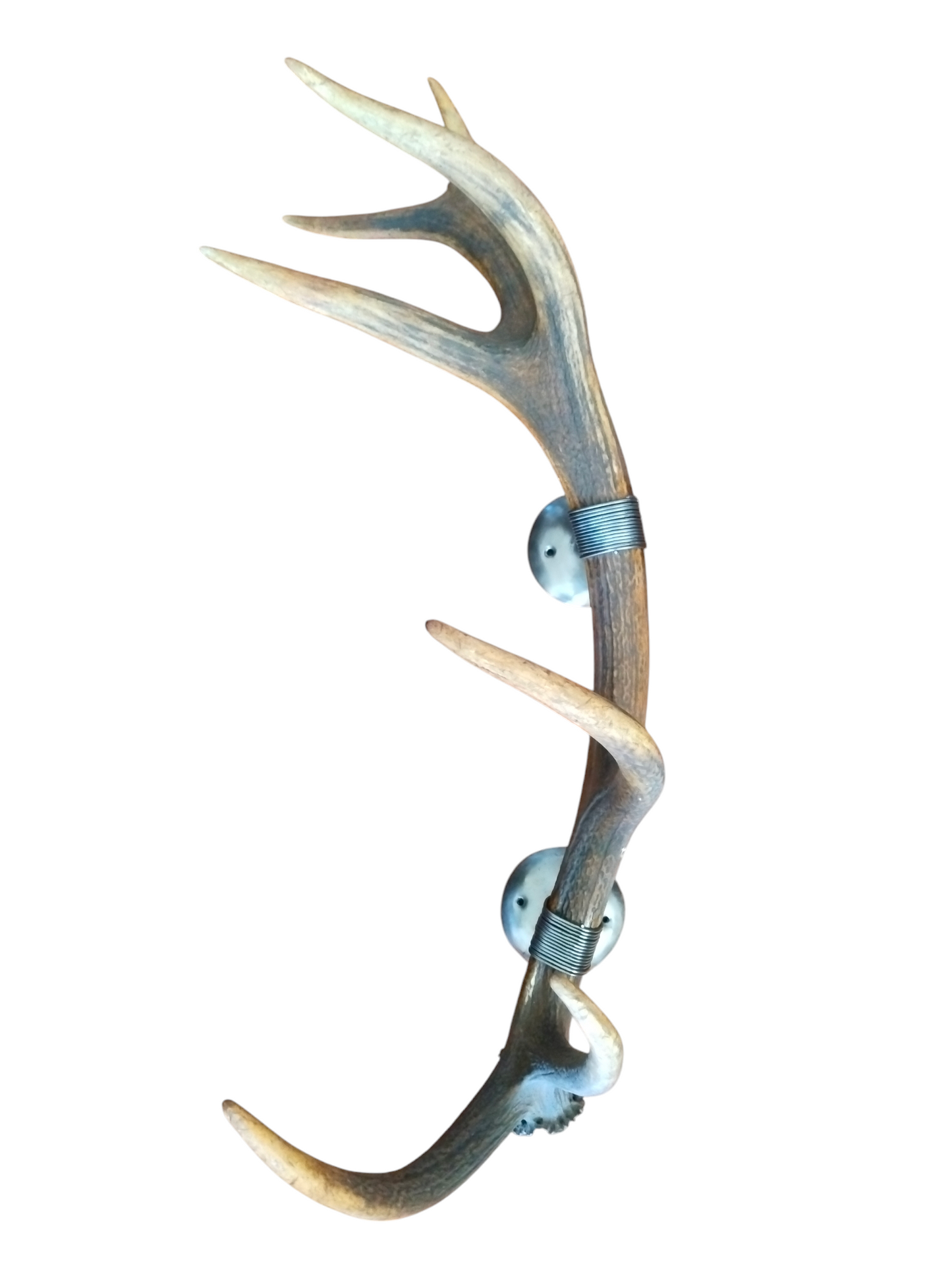 Perchero con Alambrado de Asta de Ciervo 73 cm.