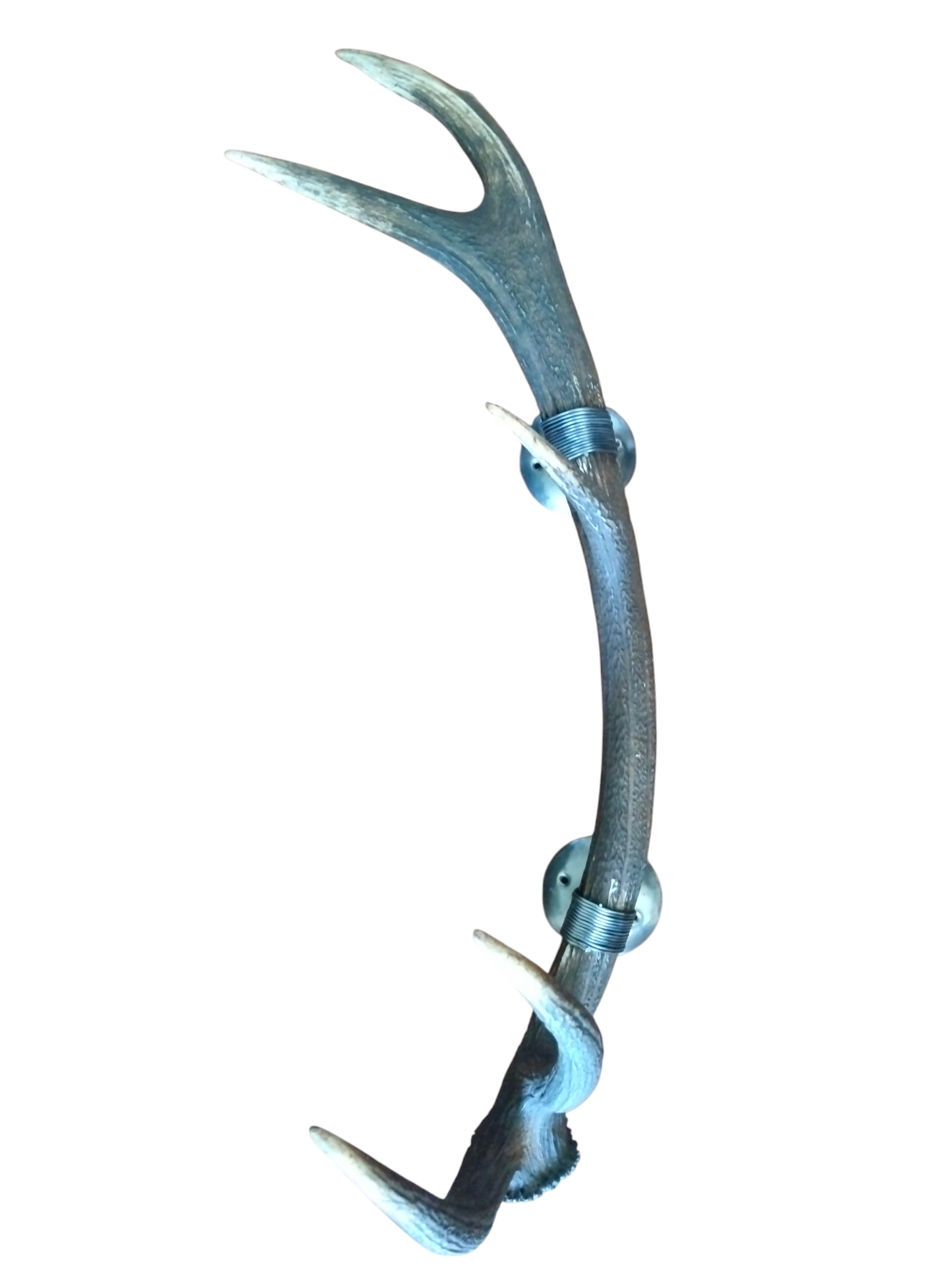 Perchero con Alambrado de Asta de Ciervo 82 cm.