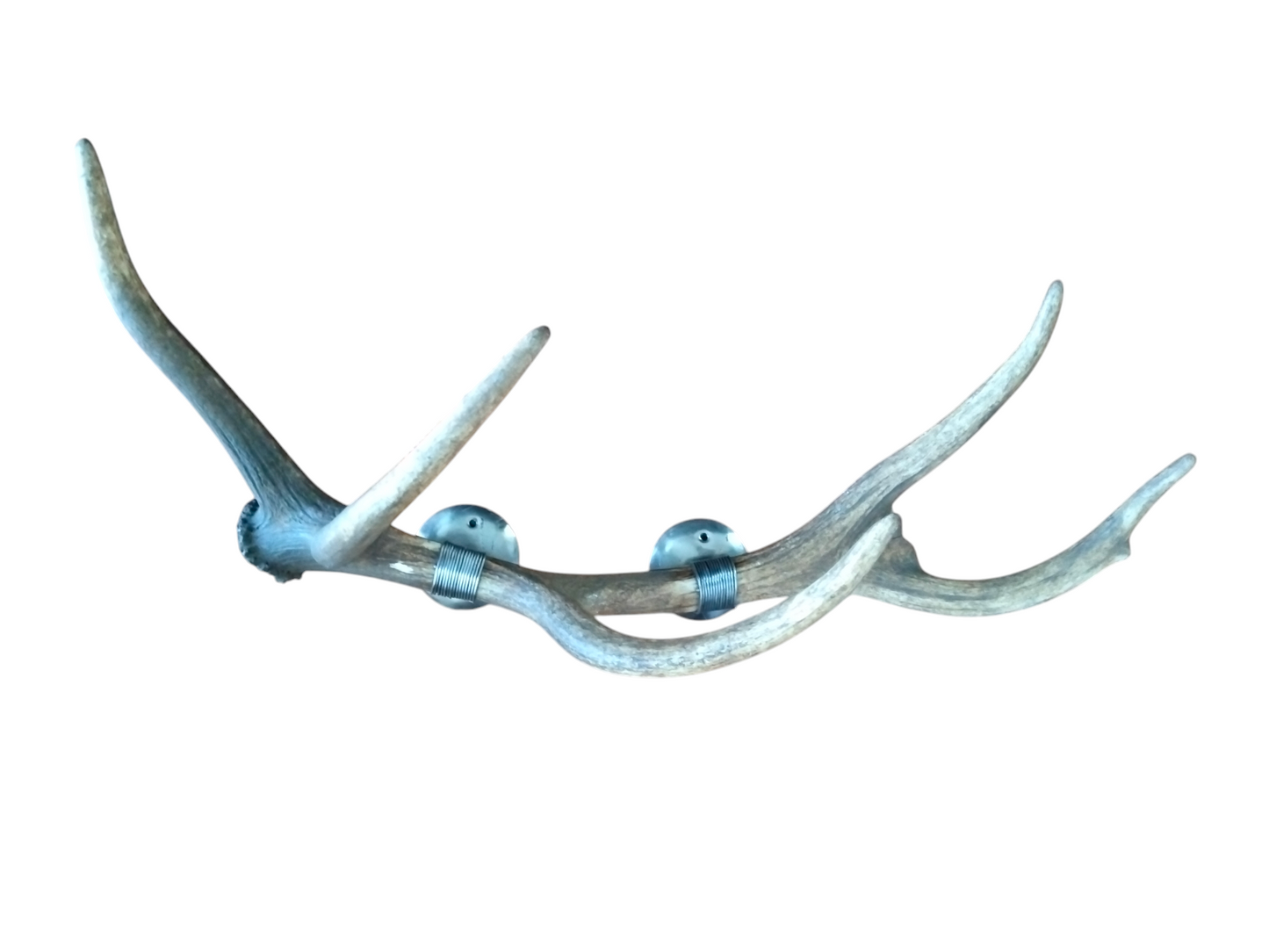 Perchero con Alambrado de Asta de Ciervo 82 cm.