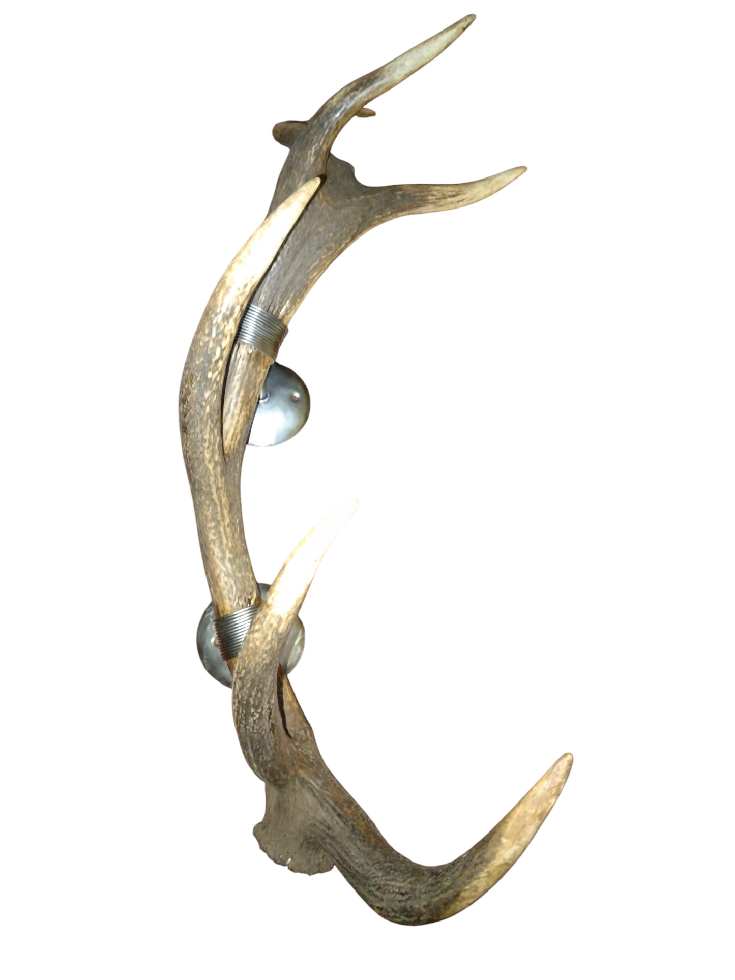 Perchero con Alambrado de Asta de Ciervo 75 cm.