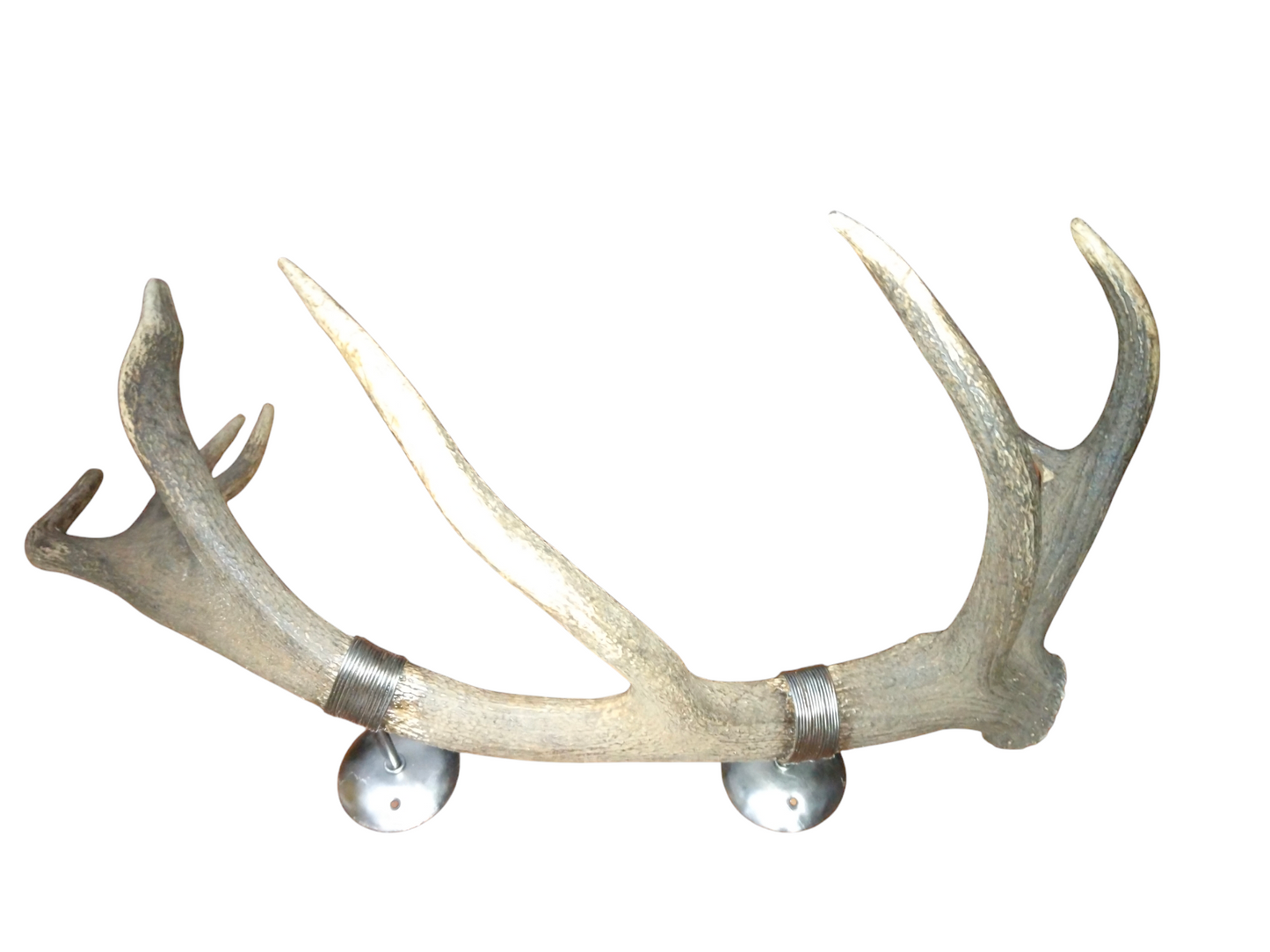 Perchero con Alambrado de Asta de Ciervo 83 cm.