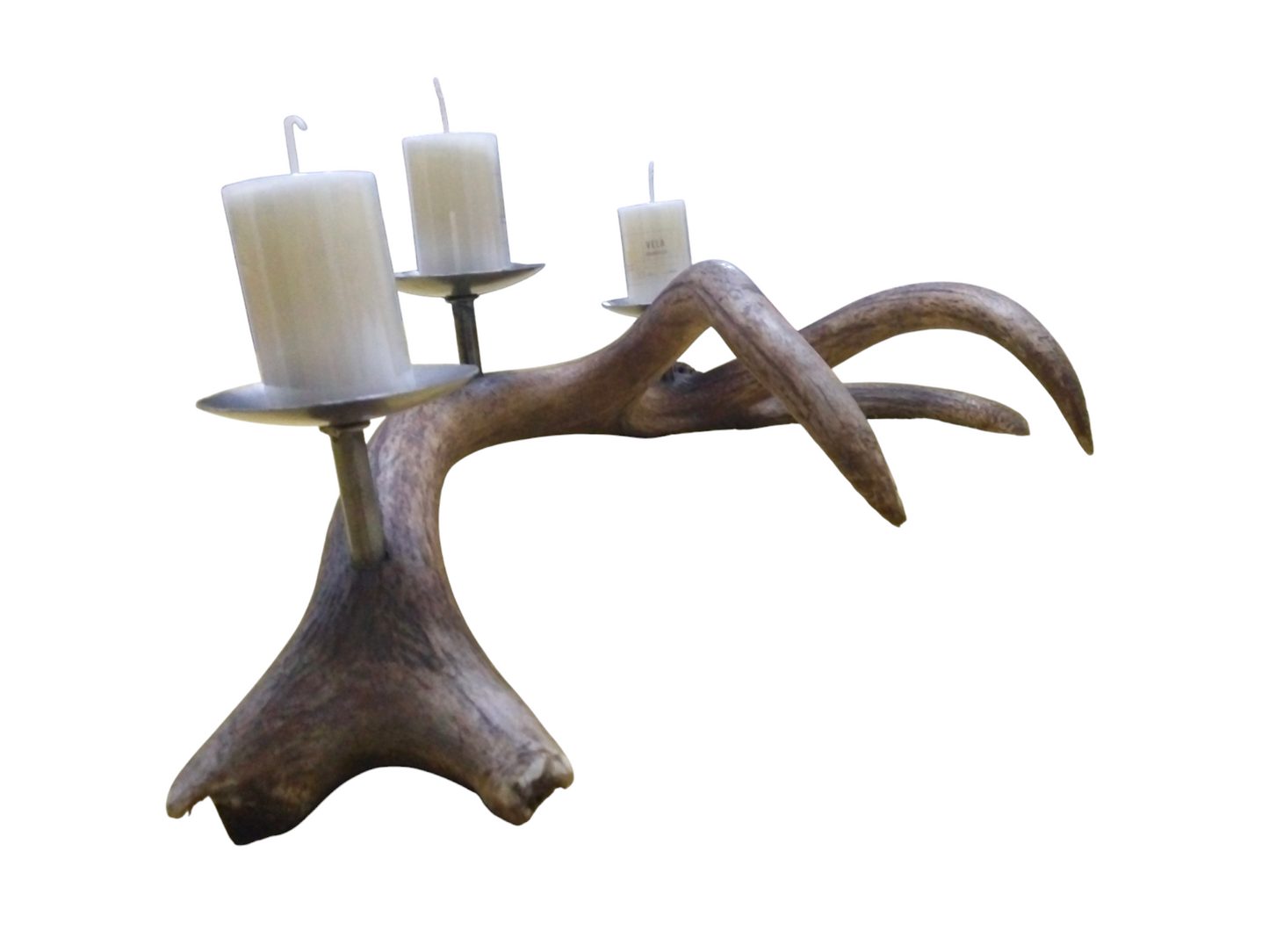 Candelabro Asta de Ciervo Rojo 75 cm.