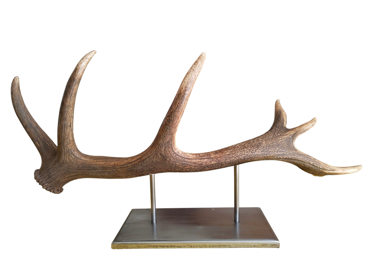 Escultura Asta de Ciervo Rojo 77 cm.