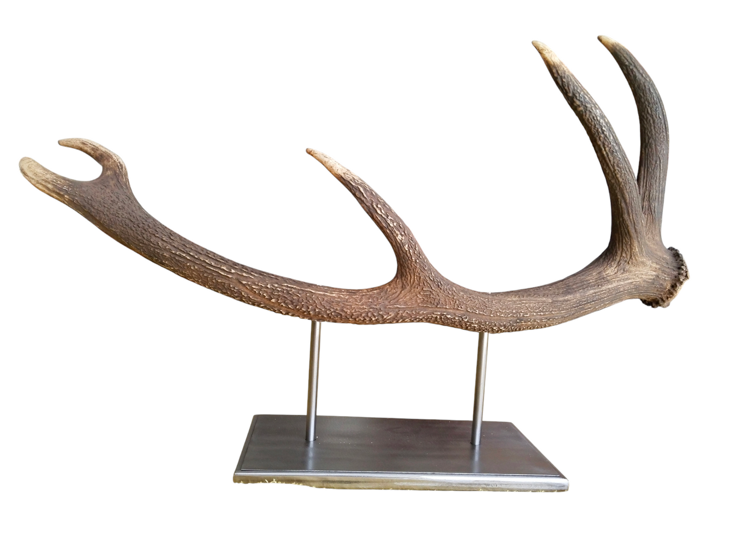 Escultura Asta de Ciervo Rojo 78 cm.