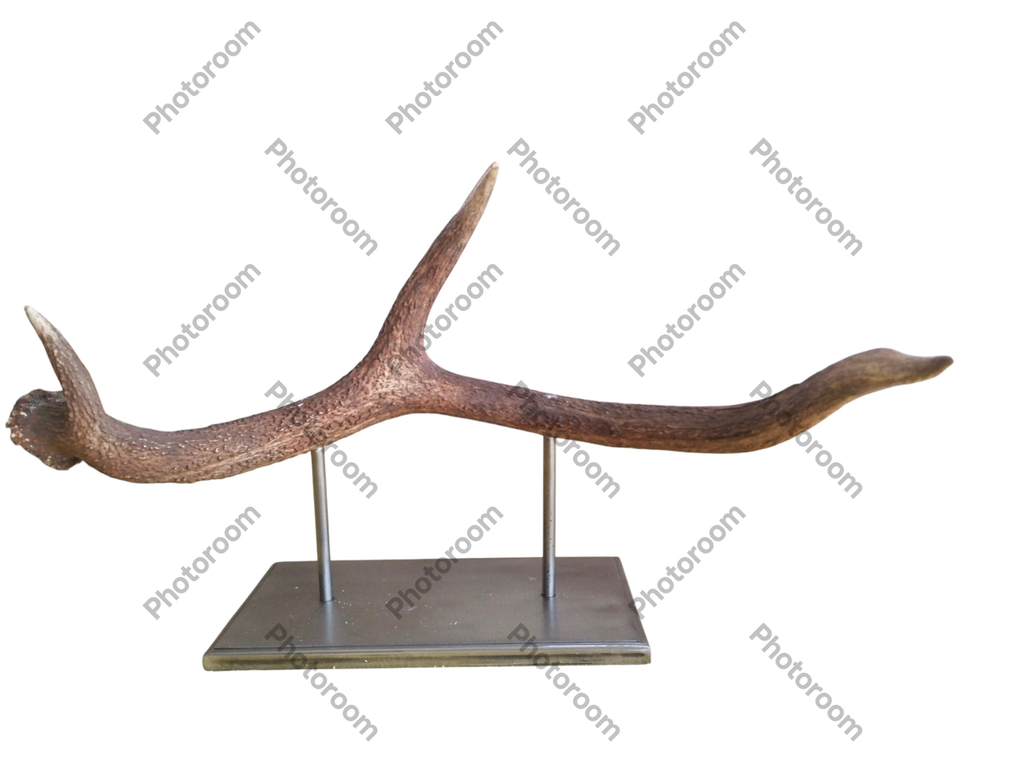 Escultura Asta de Ciervo Rojo 52 cm.