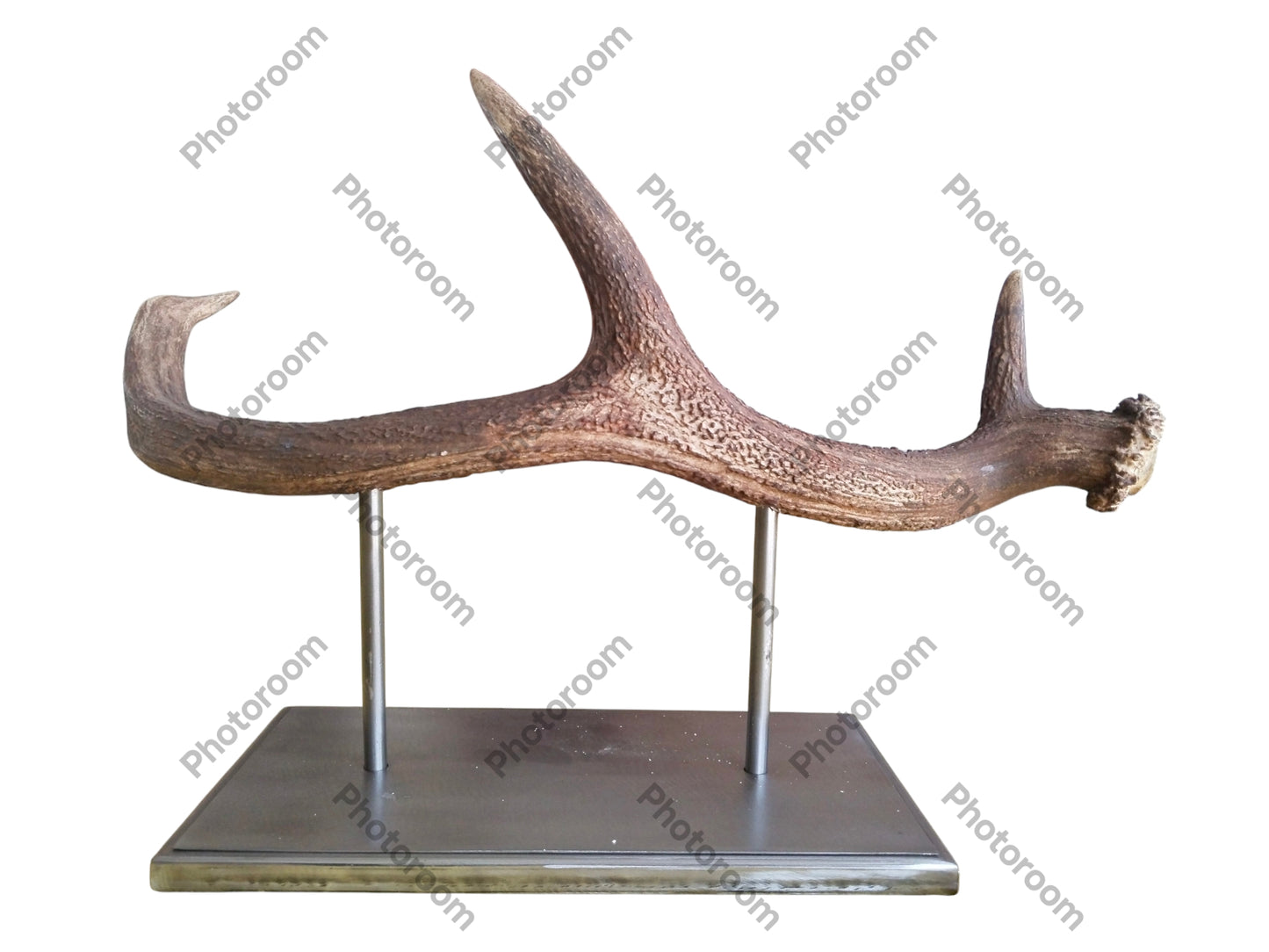 Escultura Asta de Ciervo Rojo 52 cm.