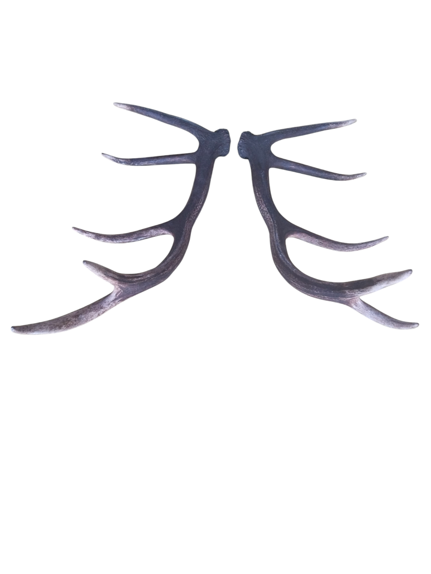 Pareja de Astas de Ciervo Rojo 75 cm