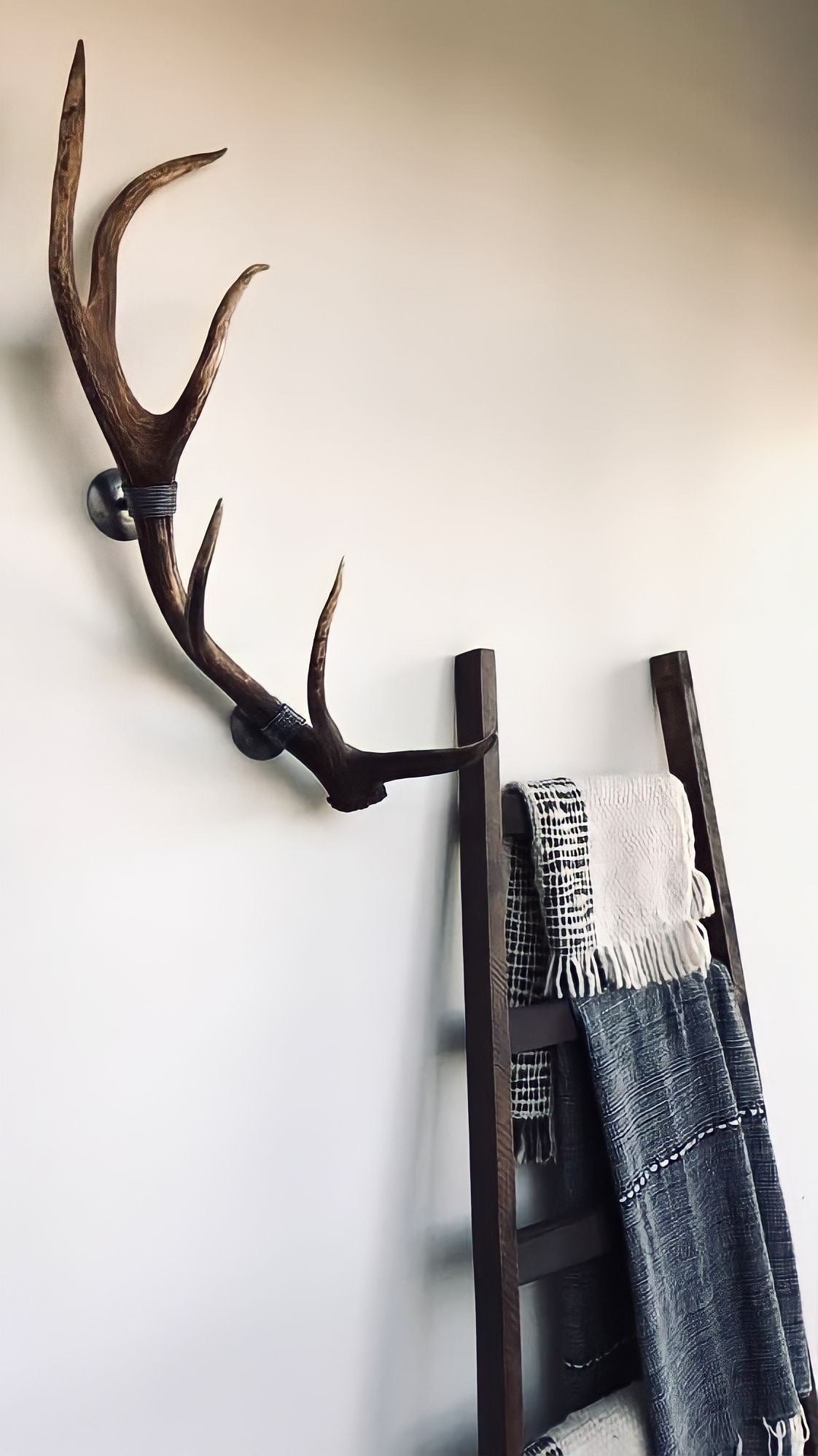 Steel&Deer – Steel&Deer