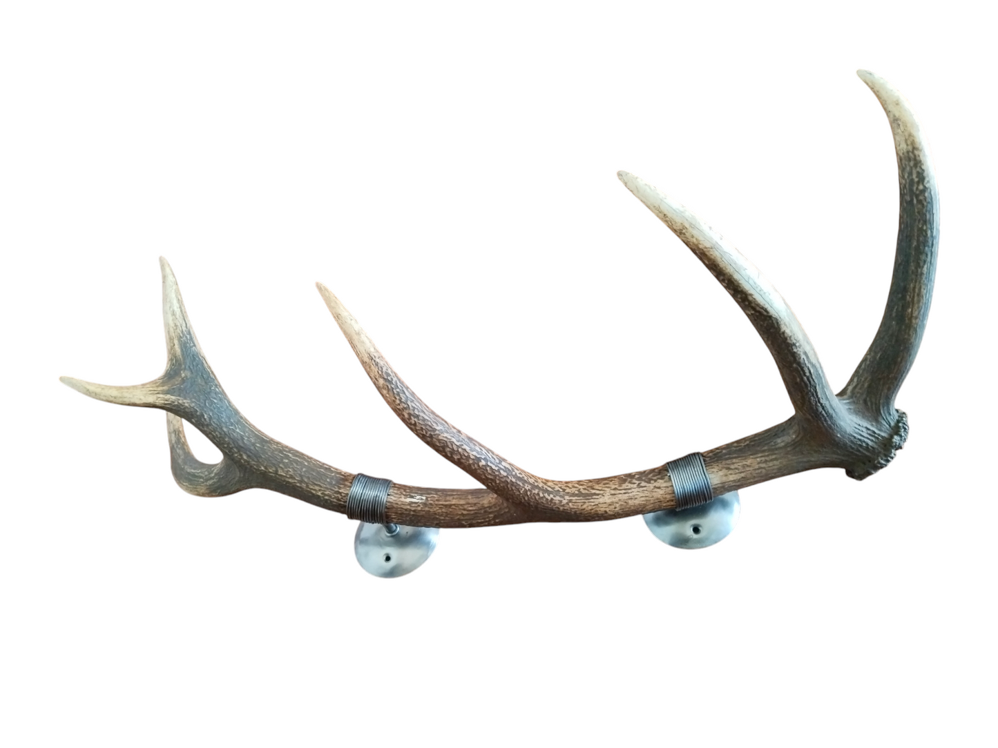 Perchero con Alambrado de Asta de Ciervo 81 cm.