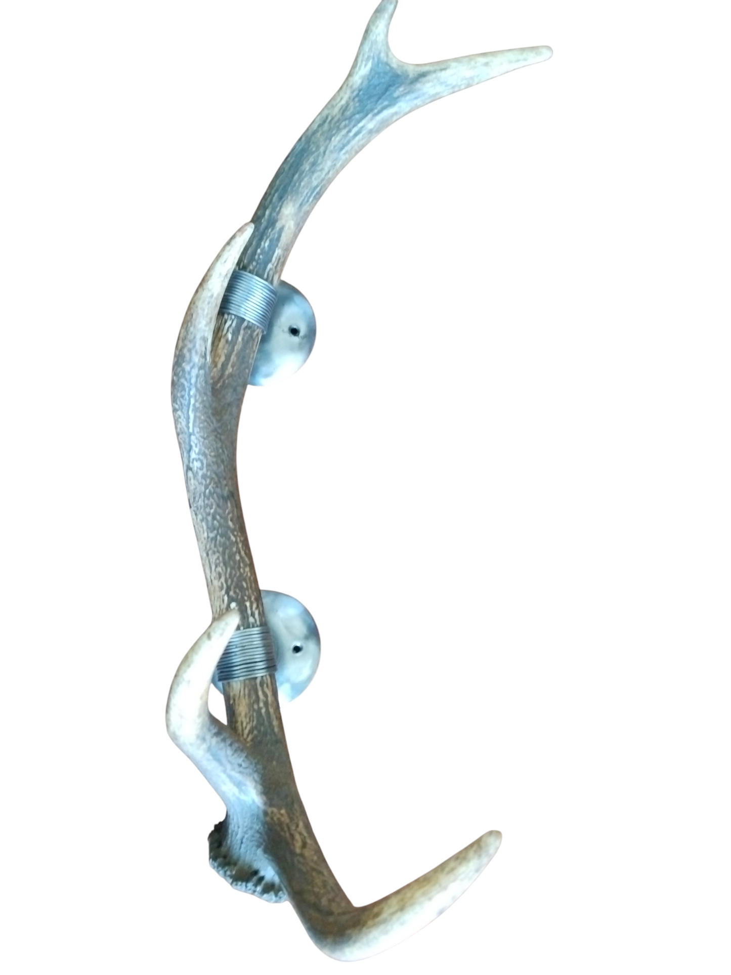 Perchero con Alambrado de Asta de Ciervo 61 cm.