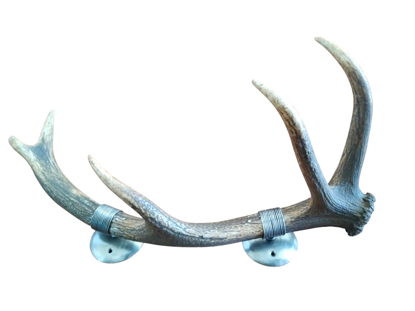 Perchero con Alambrado de Asta de Ciervo 61 cm.