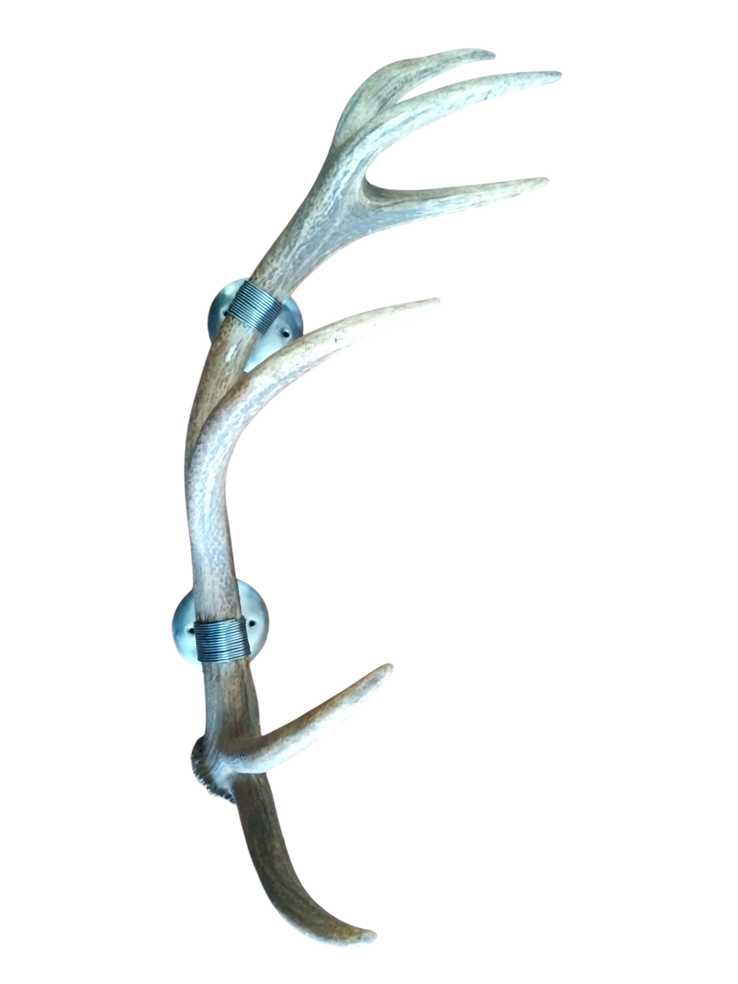 Perchero con Alambrado de Asta de Ciervo 73 cm.