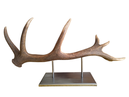 Escultura Asta de Ciervo Rojo 77 cm.