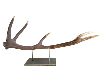 Escultura Asta de Ciervo Rojo 78 cm.