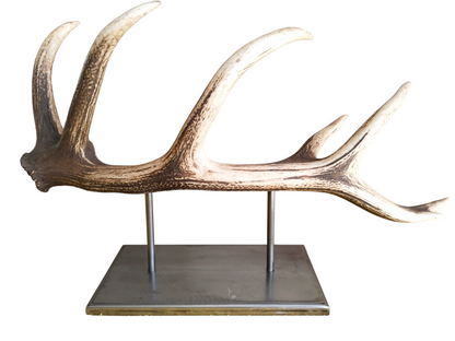Escultura Asta de Ciervo Rojo 69 cm.