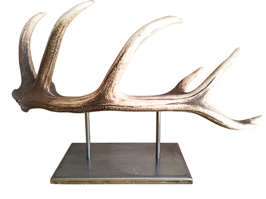 Escultura Asta de Ciervo Rojo 69 cm.